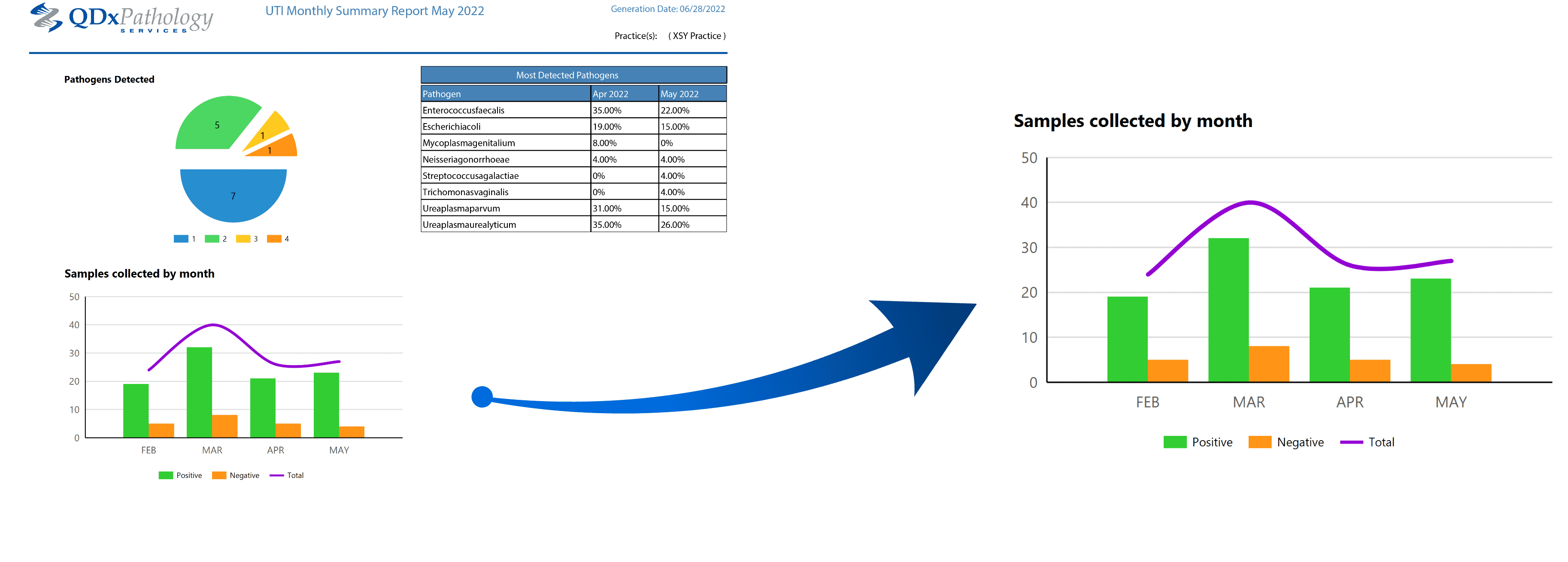 qdx-report-graphic QDx graphic reporting example
